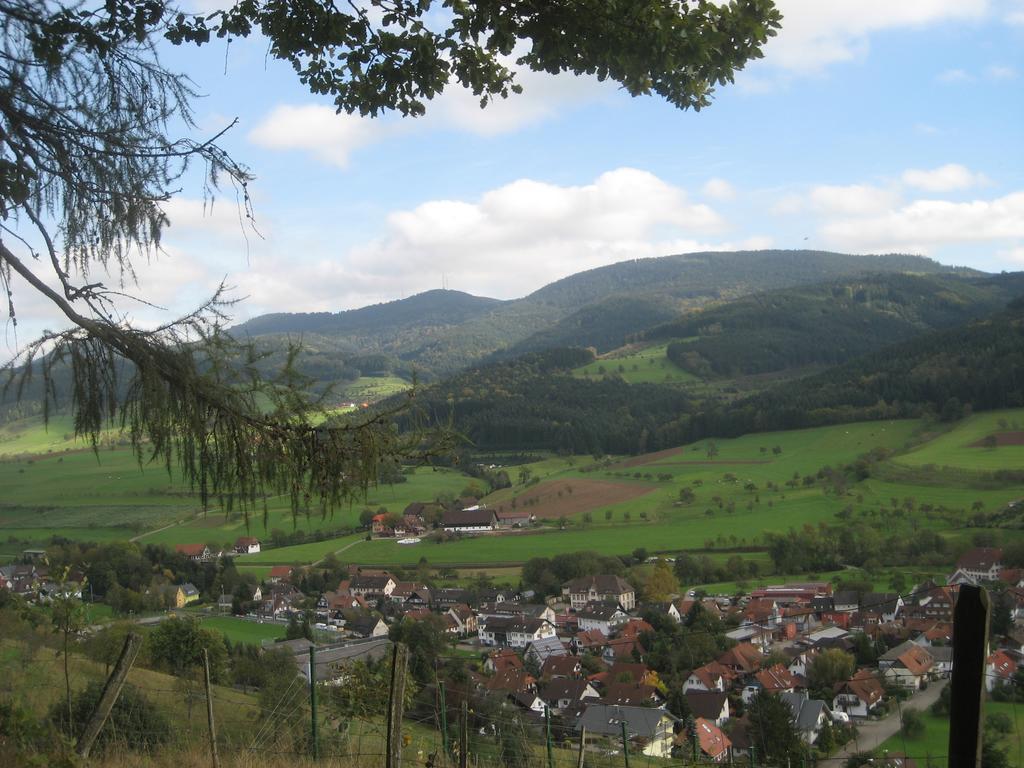 Haus Gerlinde Hotel Zell am Harmersbach Luaran gambar